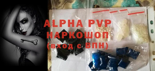 дживик Надым