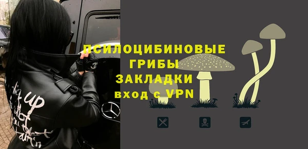 дживик Надым
