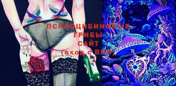 PSILOCYBIN Елабуга