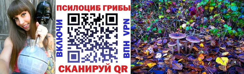 Псилоцибиновые грибы мицелий  hydra ONION  Нижняя Салда 